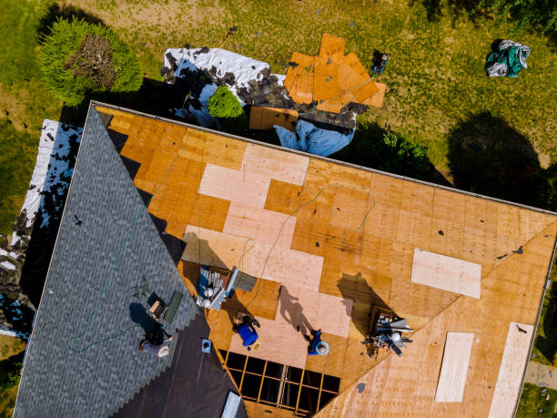 Best Metal Roofing Contractor  in North Charleston, SC