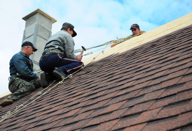 Professional Roofing Contractor in North Charleston, SC